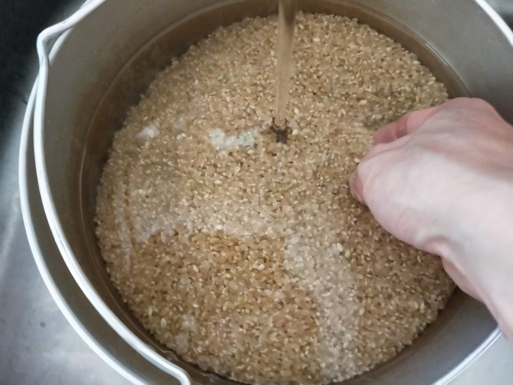 玄米 圧力鍋 水加減
